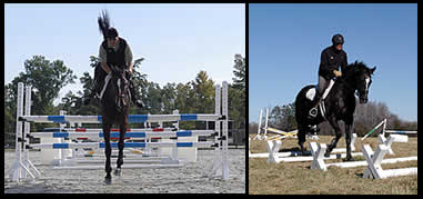 Our training system is dedicated to developing the horse's natural talent